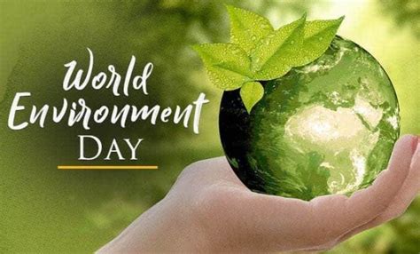 Juni Hari Lingkungan Hidup Sedunia Berikut Sejarah Dan Inspirasi Ucapannya Https