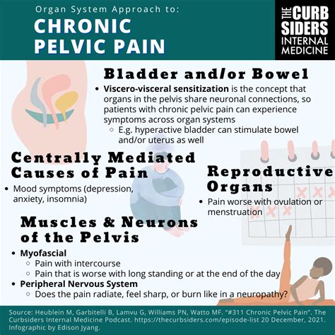 Chronic Pelvic Pain The Curbsiders