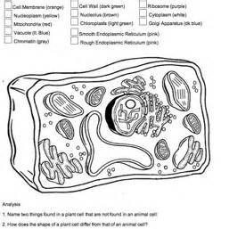 Maybe you would like to learn more about one of these? 1000+ images about science: cells. on Pinterest | Red ...