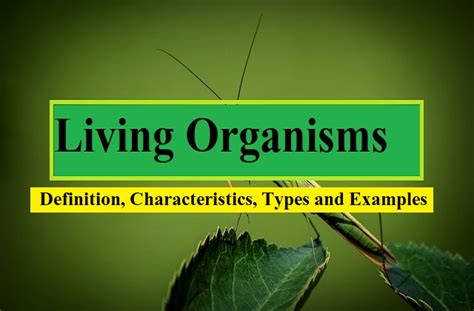 Living Organisms Definition Characteristics Types