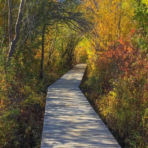 Fall Is One Of The Best Times To Take A Walk Through The Vaseux Lake