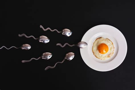 8 Foods That Can Increase Sperm Count And Boost Fertility Maxfitnesstoday