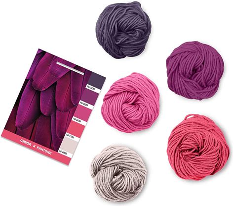 Caron Pantone X Fuchsia Plume 5 Color Knitting And Crochet Yarn Flying