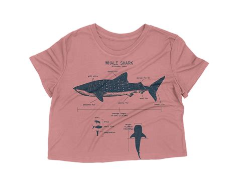 Whale Shark Anatomy Crop Top Ladies Shark Shirt Shark Crop Etsy