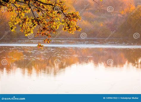 The Branch Of Oak Over The Clear Water Of Lakes Or Rivers In Which The