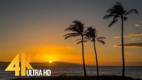 4k Kapalua Bay Maui Hawaii Sunsetoceantropical Beach Footage Proartinc