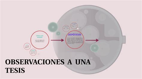 Observaciones A Una Tesis By Norma Abregú