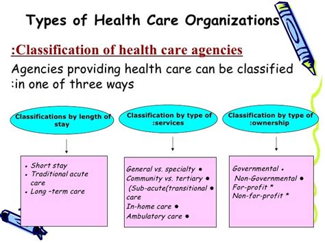 Types Of Healthcare Services Health Fitness Online