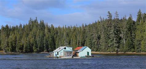 Floathouse With Greenhouse Thorne Bay Southeast Alaska Thorne Bay