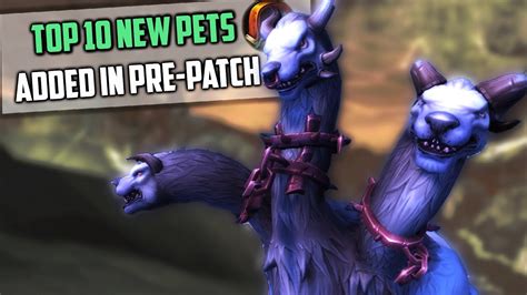 Top 10 New Hunter Pets Tamable in Pre-patch - Shadowlands ...