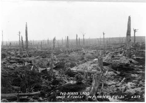 No Mans Land Once A Forest In Flanders Fields X217 Flanders Field