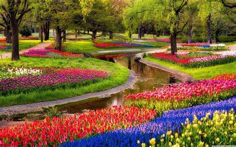 Spring Holland Wallpapers Wallpaper Cave