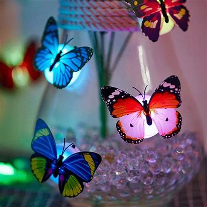 Butterfly Romantic Magic Christmas