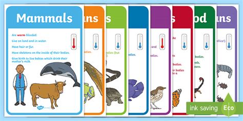Sorting and Classifying Animals KS1 Display Posters