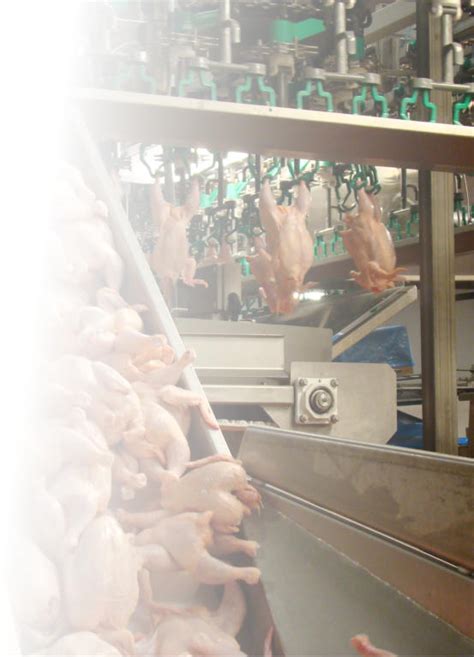 Eden Valley Poultry Inc Our Food Processing Operation Has The Latest