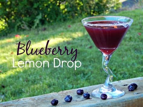 Blueberry Lemon Drop Martini Recipe Melissa Kaylene