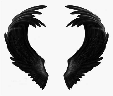 Black Wings Freetoedit Angel Black Wing Art Hd Png Download