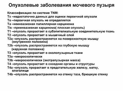 Диета После Удаления Мочевого – Telegraph Картинка - Диета После Удаления Мочевого – Telegraph