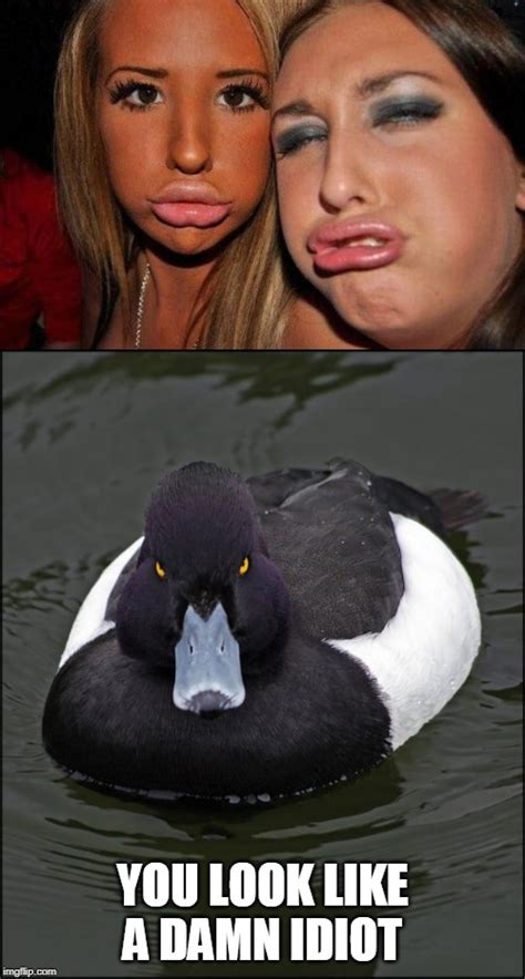 Duck Lips Angry Duck Duck Memes Duck Face My Xxx Hot Girl