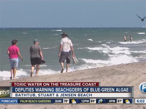 Bring flippers and a mask; Blue-green algae spotted at Bathtub Reef Beach in Martin ...