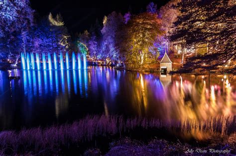 The Enchanted Forest Faskally Woods Pitlochry Perthsire Scenery