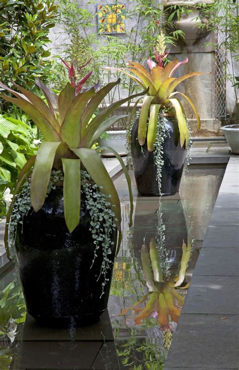 Large Container Gardens In Reflecting Pool Container