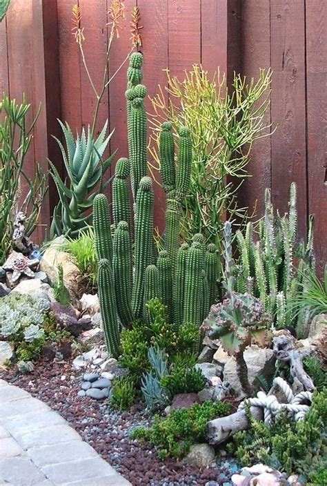 Plantas jardin fotos de cactus. Atrévete con los cactus, 15 inspiradoras decoraciones para ...