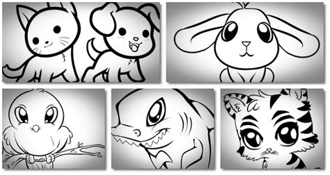 Learn How To Draw Cute Animals Exactly And Professionally