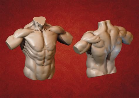 My oc ash was happy to. 3D print model human Male Torso | CGTrader