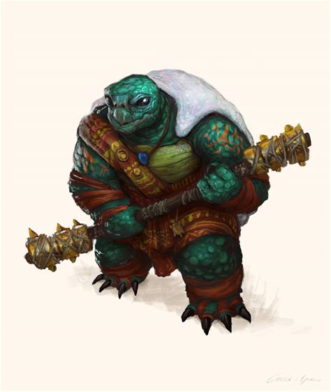 Art Tortle Cleric Commissioned Rdnd
