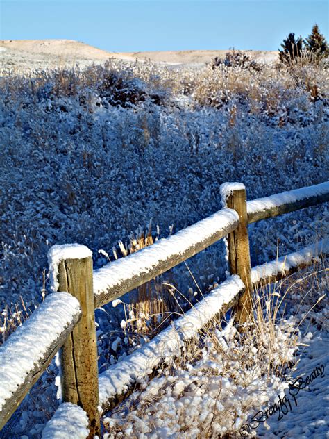 Kemmerer Wy Snowy Fence On The Kemmerer Walking Trail Photo Picture