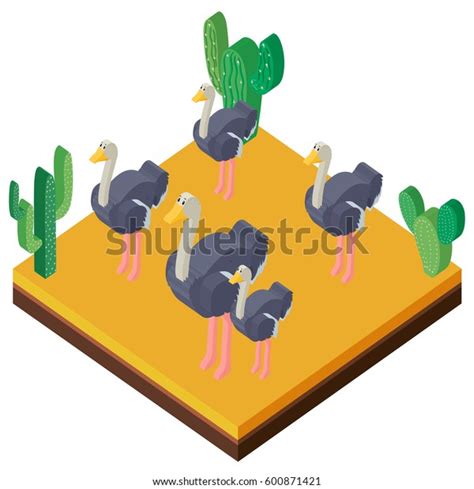 Desert Scene Ostriches 3d Design Illustration Stock Vector Royalty