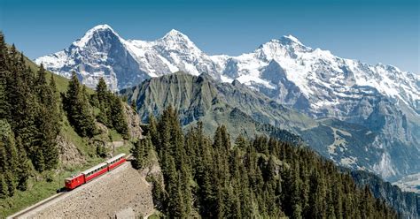 Schynige Platte Jungfrauch