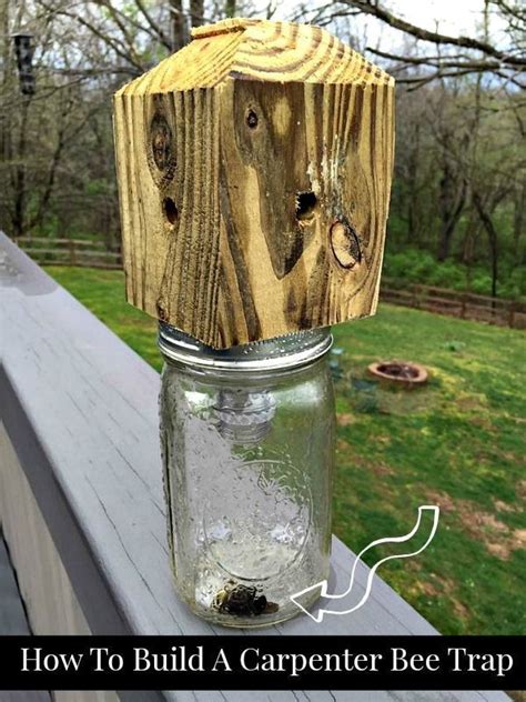Step By Step Diy Instructions On How To Build A Carpenter Bee Trap