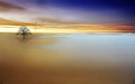 Tranquility Wallpapers Top Free Tranquility Backgrounds Wallpaperaccess