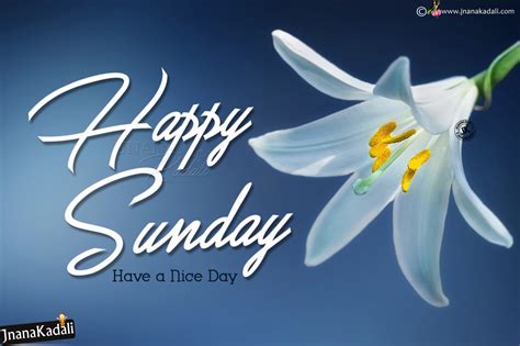 Amazing Collection Of Happy Sunday Images Hd In Full 4k Over 999 Top