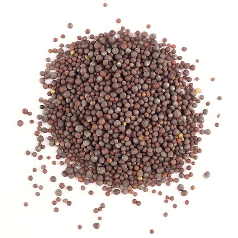 Brown Mustard Seed Whole Certified Organic Gneiss Spice