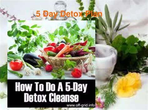 Ppt The Ultimate 5 Day Detox Powerpoint Presentation Free Download