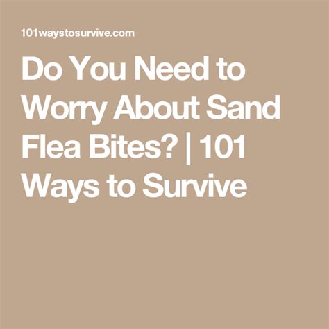 Do You Need To Worry About Sand Flea Bites Ways To Survive Sand Fleas Fleas Sand