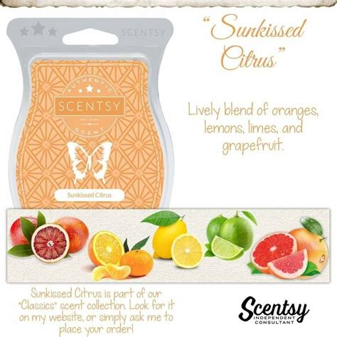 Sunkissed Citrus | _Scentsy_ | Scentsy, Natural oils ...