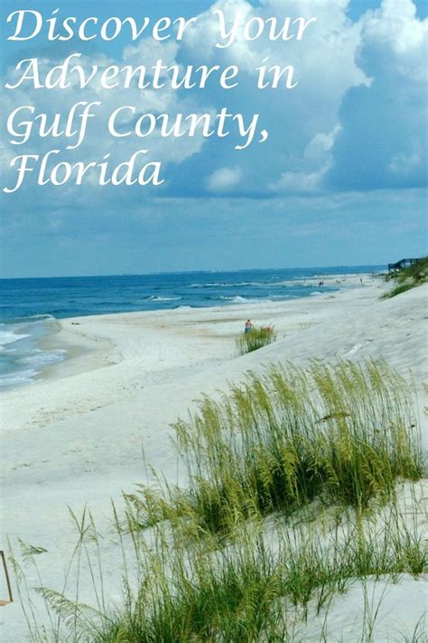 Discover Your Adventure In Gulf County Florida The Natural Side Of