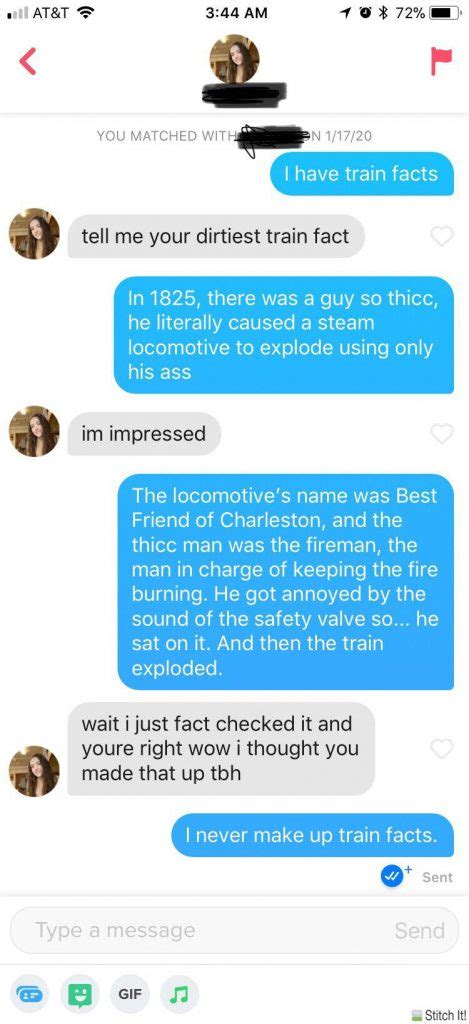 My Tinder Is A Joke Account Where I Tell People Train Facts And Answer
