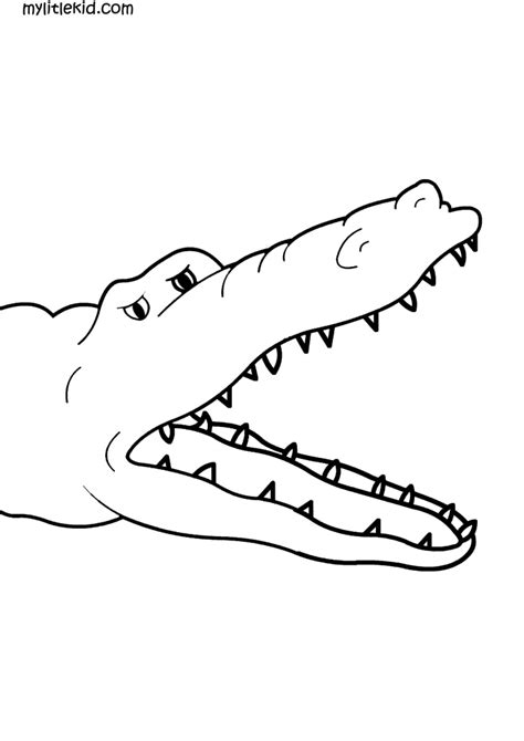 Desenhos Para Colorir Crocodilo Imprimir Grátis