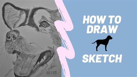 While there is a wide range of dog breeds, once you know how to draw a realistic dog, you can adapt this to any kind of dog. How To Draw A Realistic Dog / Step-By-Step (easy) - YouTube