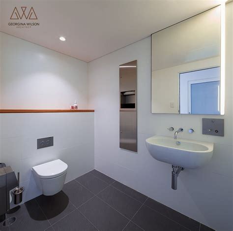 Accessible Bathroom | Accessible bathroom, Bathroom, Bathroom mirror