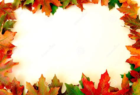 Fall Leaves Border Clipart Best