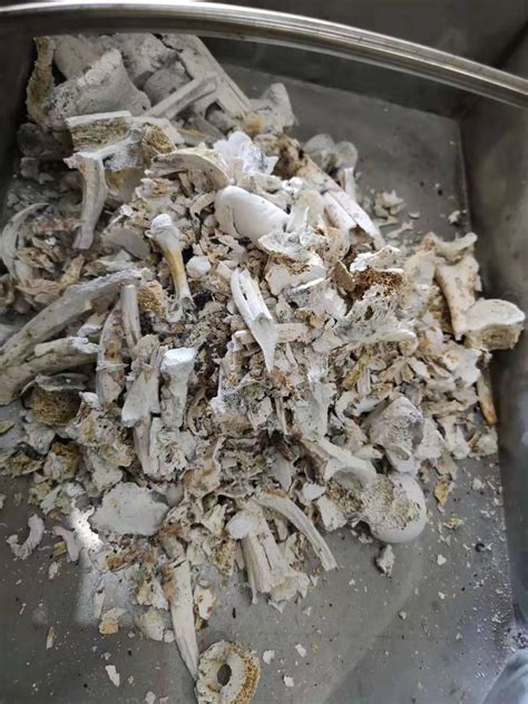 Human Cremated Remains Grinder China Manufacturer
