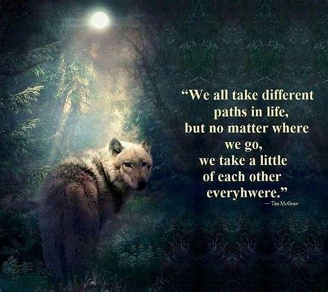 Wolf Quotes Wolf Quotes Best 100 Best Wolves Quotes For You Inspiration