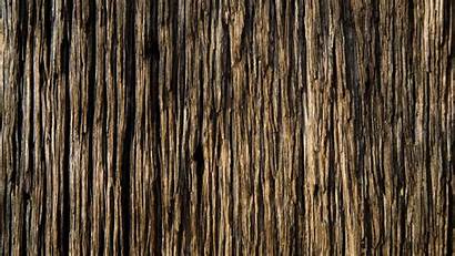 Wood Textures Texture Wooden Background Dark Wall