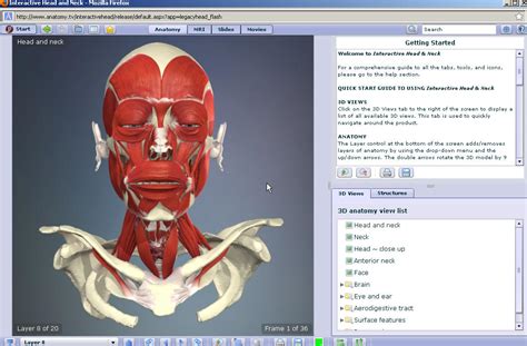 Bibliotek For Medisin Og Helse Primal Pictures Anatomy Ny 3d